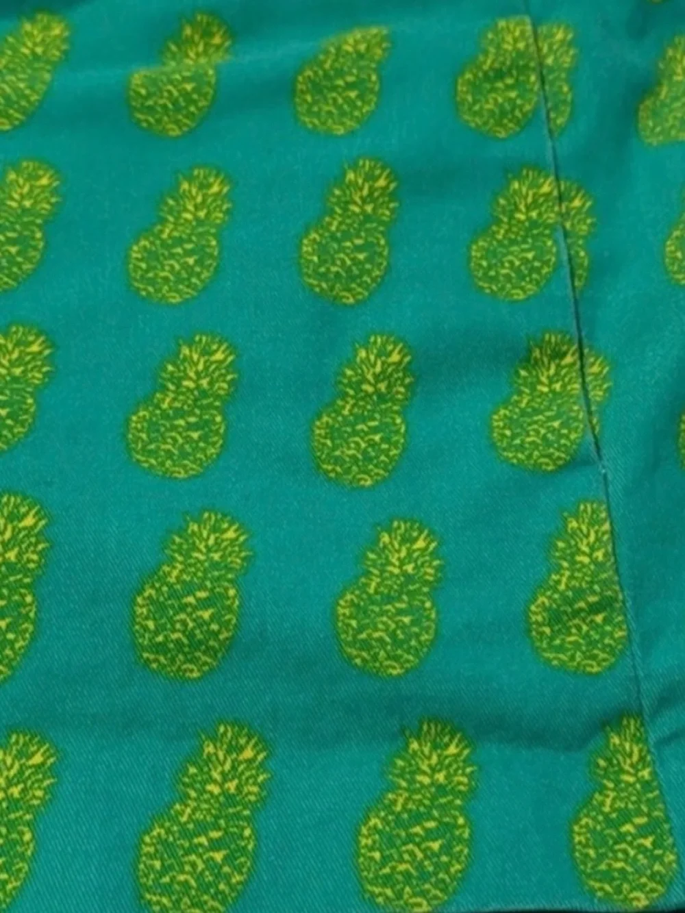 J. Crew crew shorts